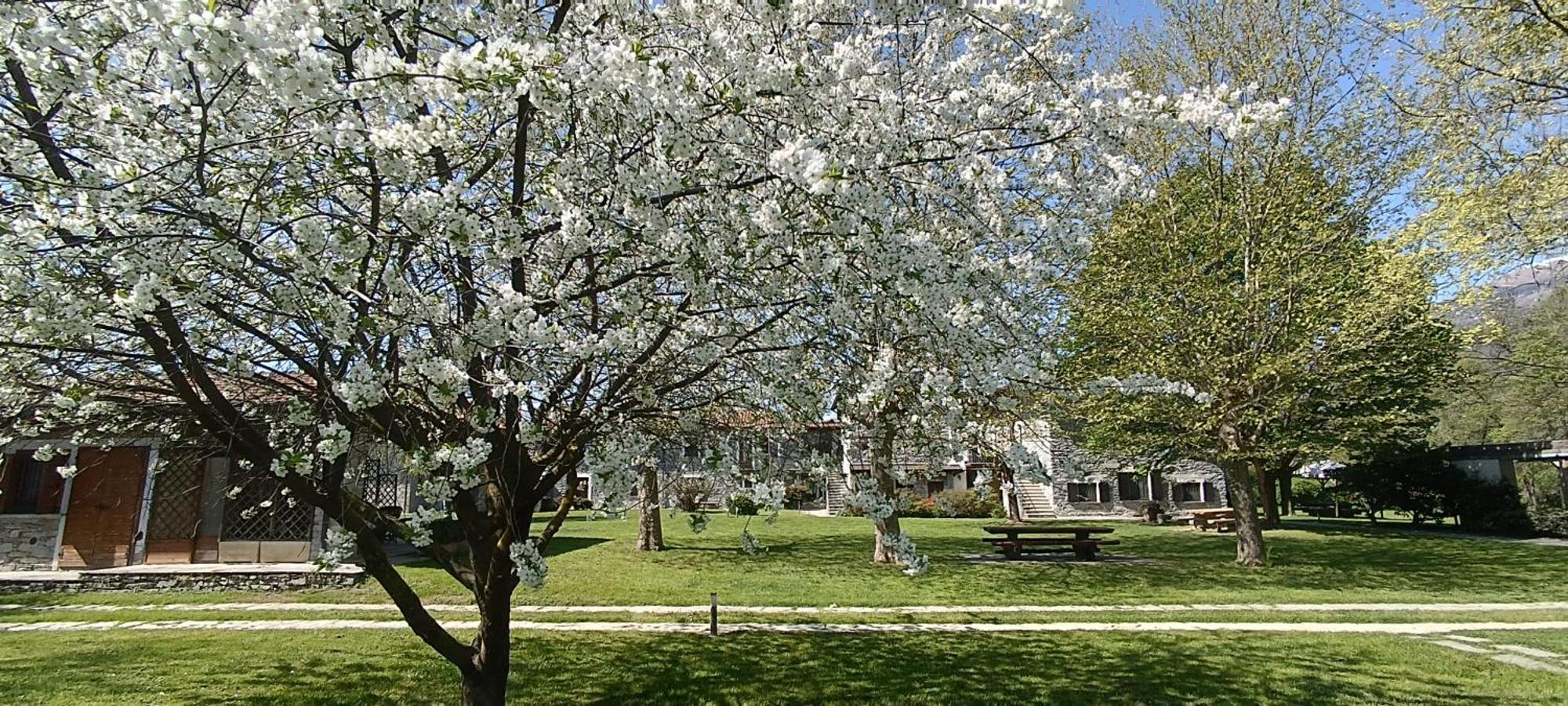 الشقق الفندقية جيرا لاريوفي  Cascina Borgofrancone المظهر الخارجي الصورة