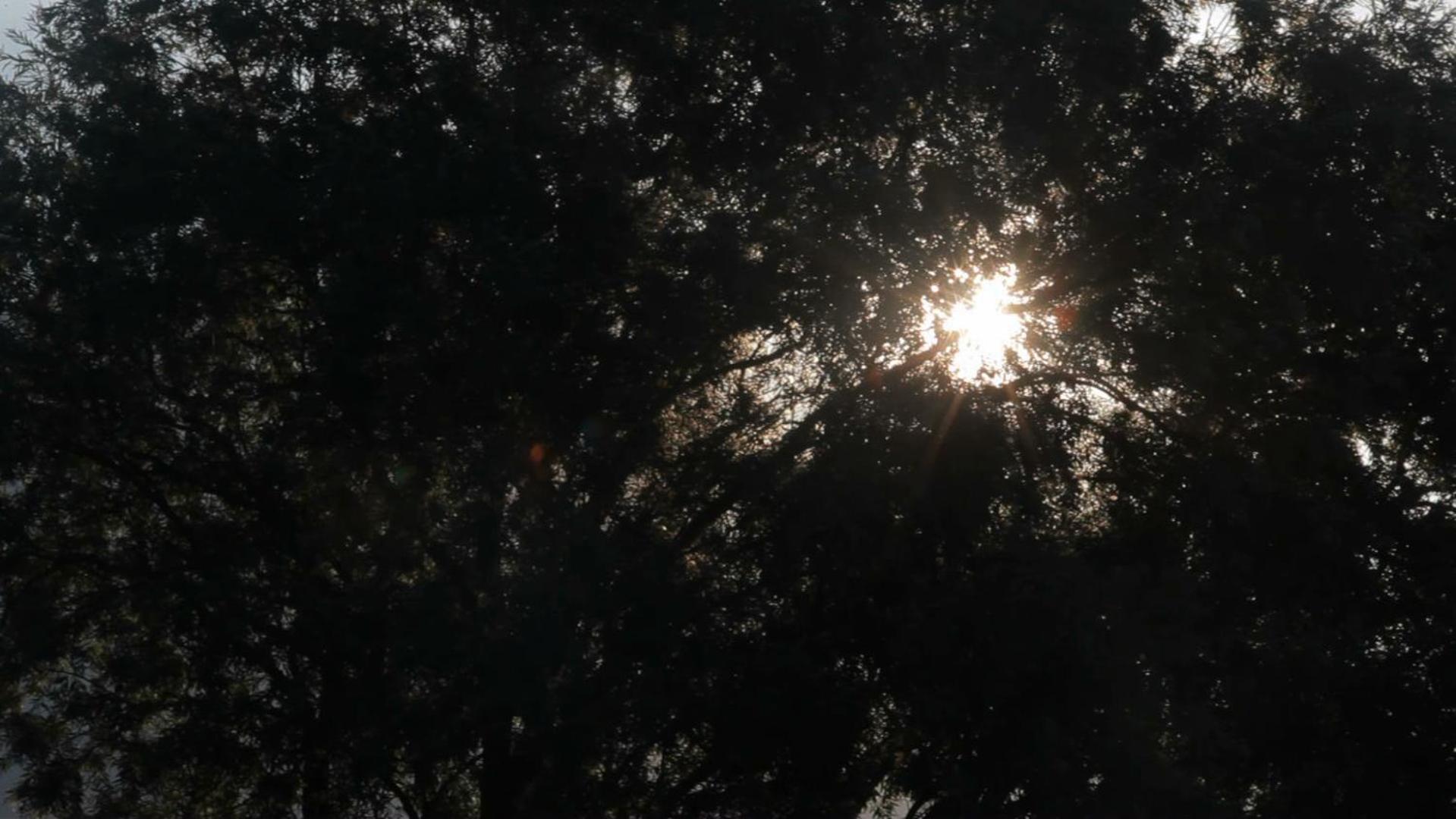 الشقق الفندقية جيرا لاريوفي  Cascina Borgofrancone المظهر الخارجي الصورة