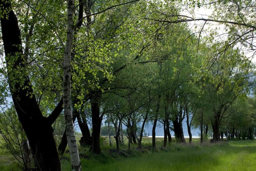 الشقق الفندقية جيرا لاريوفي  Cascina Borgofrancone المظهر الخارجي الصورة