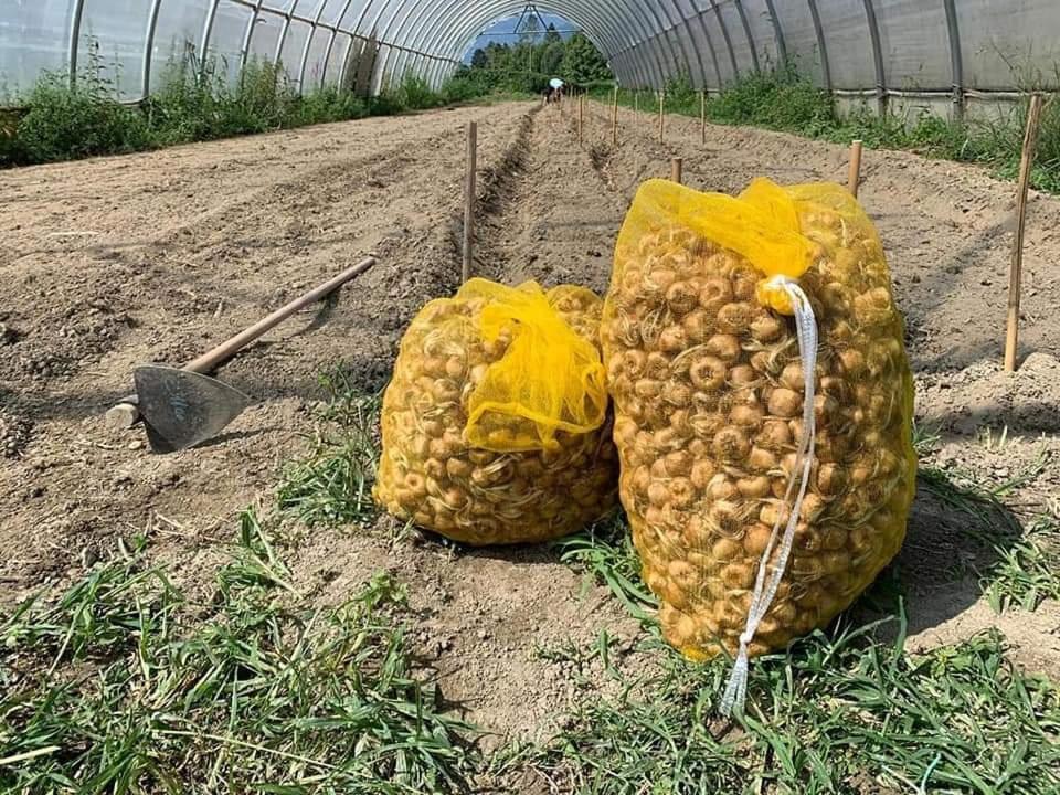 الشقق الفندقية جيرا لاريوفي  Cascina Borgofrancone المظهر الخارجي الصورة