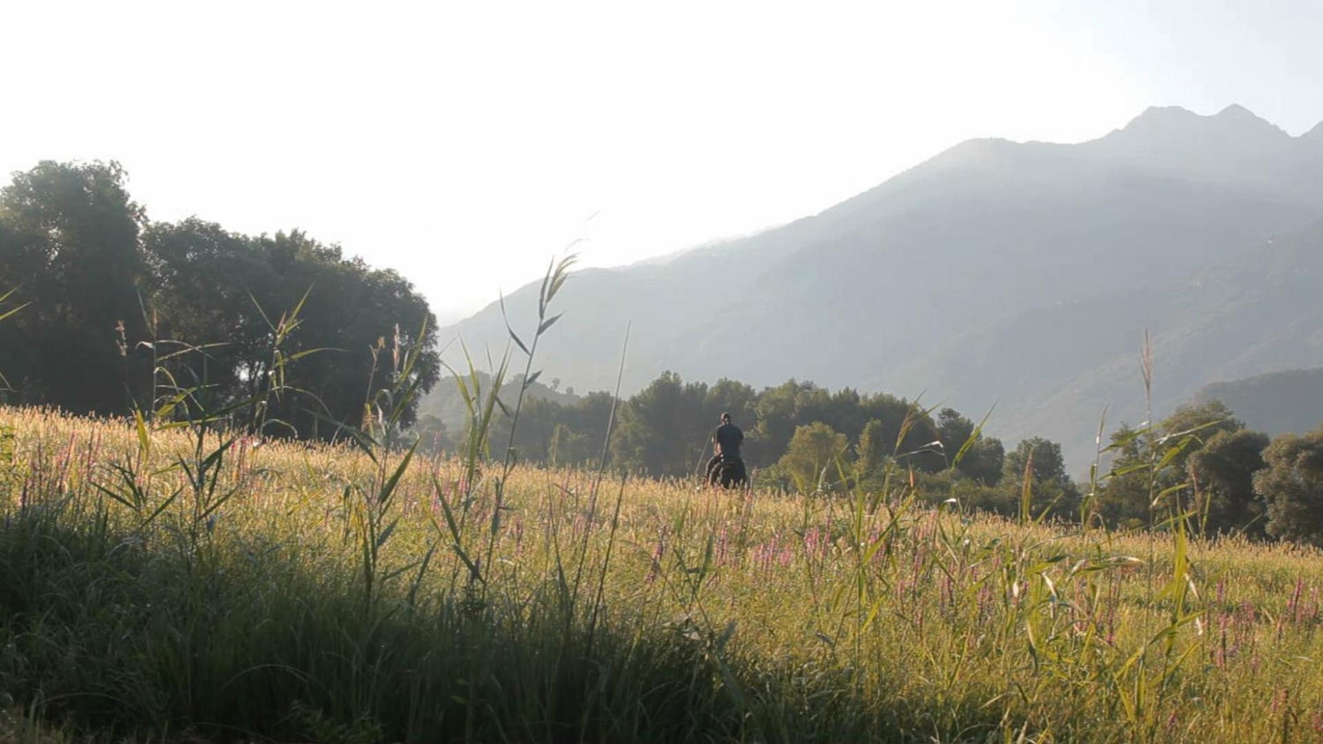 الشقق الفندقية جيرا لاريوفي  Cascina Borgofrancone المظهر الخارجي الصورة