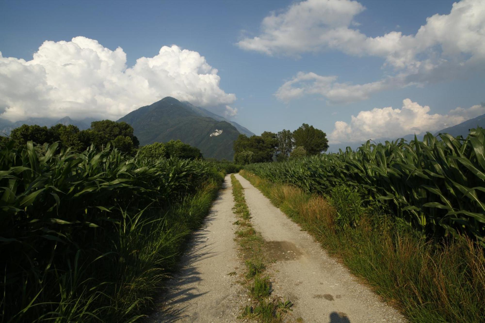 الشقق الفندقية جيرا لاريوفي  Cascina Borgofrancone المظهر الخارجي الصورة