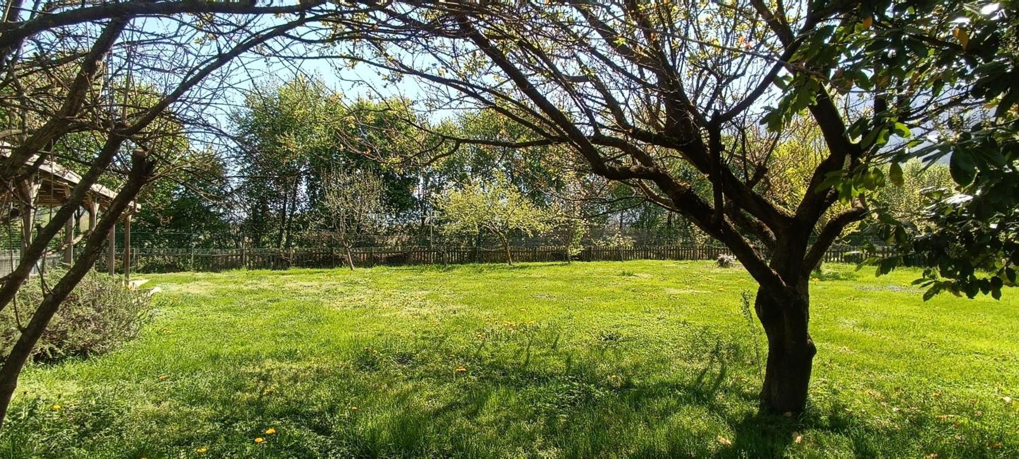 الشقق الفندقية جيرا لاريوفي  Cascina Borgofrancone المظهر الخارجي الصورة